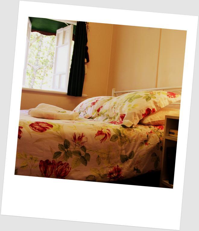Coral Lodge Bed And Breakfast Inn 타운즈빌 외부 사진